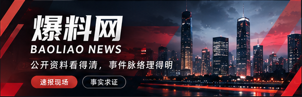公开资料与事实核验